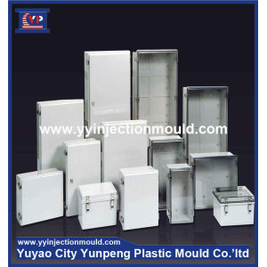 Plastic injection outdoor electrical distribution box mould (from Tea)