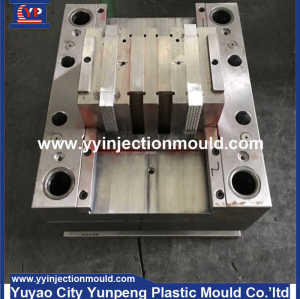 OEM/ODM Custom Plastic Injection Mould Manufacturing (From Cherry)