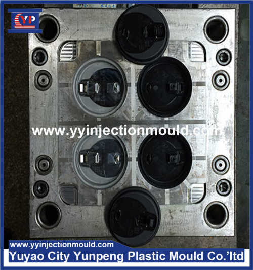 China Manufacturer Professional Custom High Quality Plastic Injection Moulding(From Cherry)