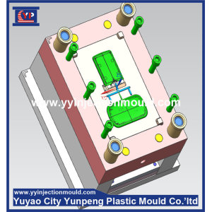 Professional parts fabrication services manufacturer for plastic injection mould (from Tea)
