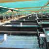 FDA food grade and good aging-resistance Aquaculture sheet