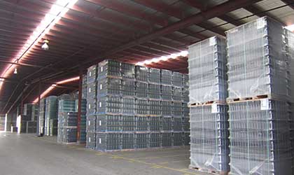 PP corrugated sheet used as bottle pad