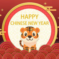 2022 Tiger Chinese New Year