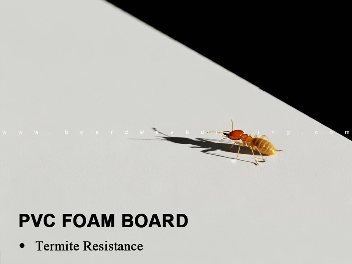 Termite-Proof PVC Foam Board