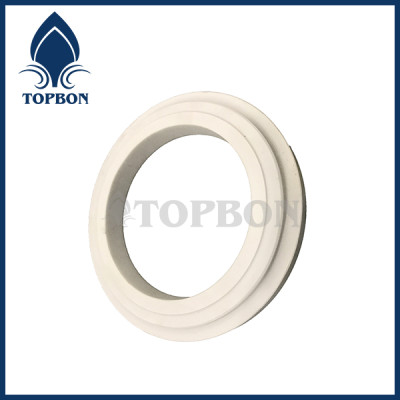 TB-C5 ceramic seal ring