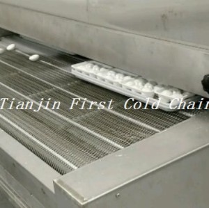 Tunnel Freezer for frozen chicken and other pasta food 500kg/h in China