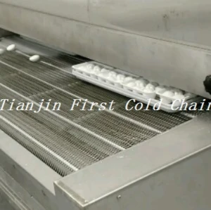 Tunnel Freezer for frozen chicken and other pasta food 500kg/h in China