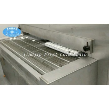 Tunnel Freezer for frozen chicken and other pasta food 500kg/h in China