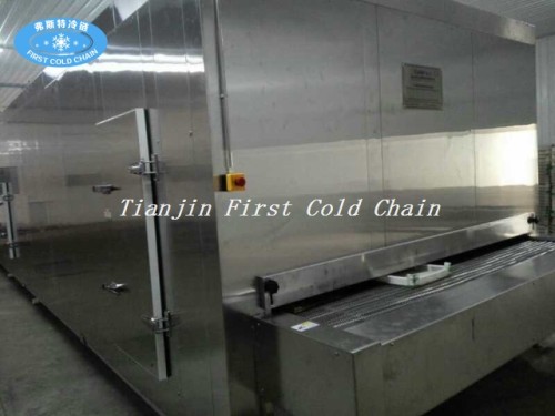 China High Quality professional tunnel freezers for seafood or meat processing