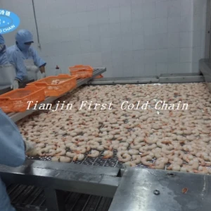 Máquina de congelación rápida de alimentos / Congelador de túnel IQF