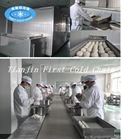La fábrica de China suministra directamente el congelador de túnel IQF para mariscos / pescado