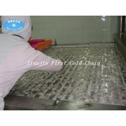 Морозильная камера тоннеля для рыбного креветочного хлеба