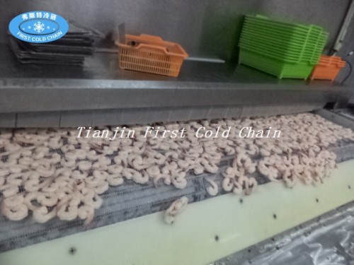 China Congelador de túnel de 600kg / h finamente procesado con acero inoxidable lleno para camarones