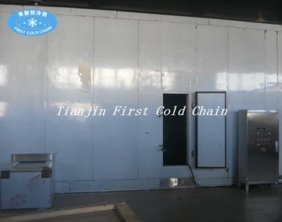 China automatic Double Spiral IQF Freezer / Individual Quick Freezer