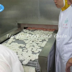 China Double Spiral  Freezer 2000kg/h  for Frozen Meat with stainless steel belt