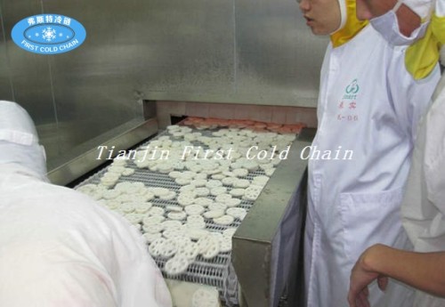 China Congelador rápido espiral doble de alta calidad 2000kg / h para la comida congelada