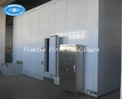 China Congelador rápido espiral doble de alta calidad 2000kg / h para la comida congelada