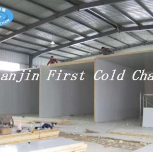 China high quality professional Cold Storage or Cold Room from first cold chain