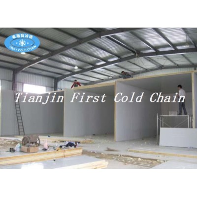 China high quality professional Cold Storage or Cold Room from first cold chain