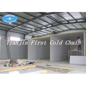 China high quality professional Cold Storage or Cold Room from first cold chain