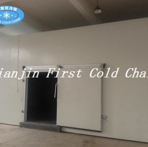 cost-effective Cold Storage or Cold Room supplier from China first cold chain
