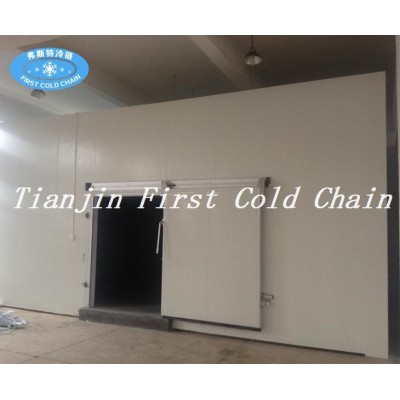 China hot sales Cold Storage / Cold Room,high quality Chiller Room