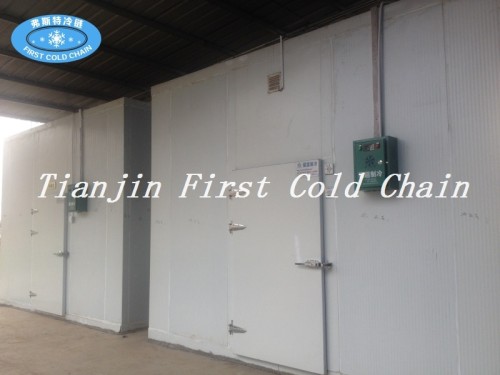 China suministra una alta capacidad de almacenamiento en frío / cámara frigorífica para alimentos congelados