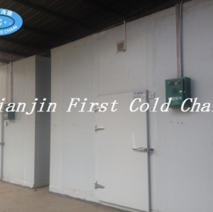 China supply High quality Food Cold Storage/ Cold Room