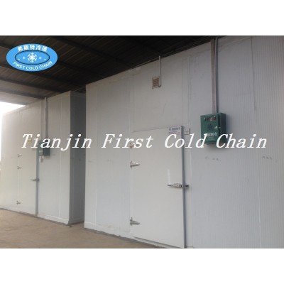 China supply High quality Food Cold Storage/ Cold Room