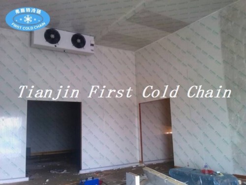 China suministra una alta capacidad de almacenamiento en frío / cámara frigorífica para alimentos congelados