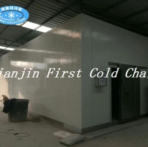 China factory supply high quality Cold storage / Cold room for food storage