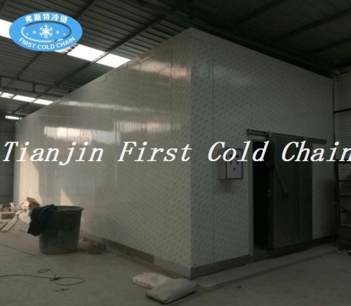 Fábrica de la fuente de China de alta calidad de almacenamiento en frío / cámara frigorífica para almacenamiento de alimentos