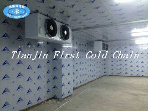 Фабрика китая поставляет высококачественные холодильные камеры / холодильные камеры для хранения продуктов