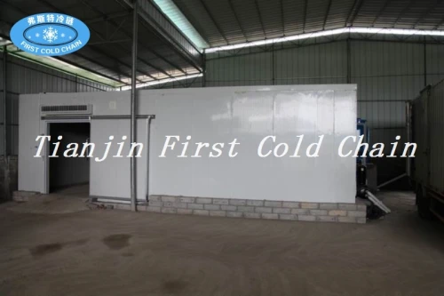 China hot sale Industrial Refrigerator/ Cold Room for frozen meatand keep fresh