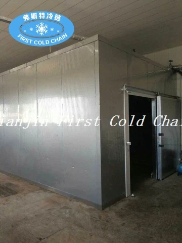 China hot sale Industrial Refrigerator/ Cold Room for frozen meatand keep fresh