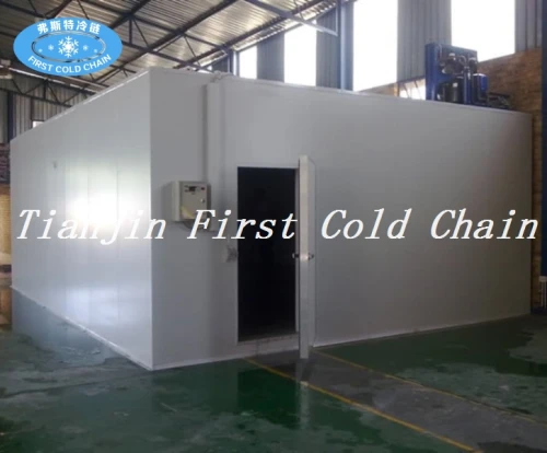 China hot sale Industrial Refrigerator/ Cold Room for frozen meatand keep fresh