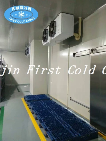 China hot sale Industrial Refrigerator/ Cold Room for frozen meatand keep fresh