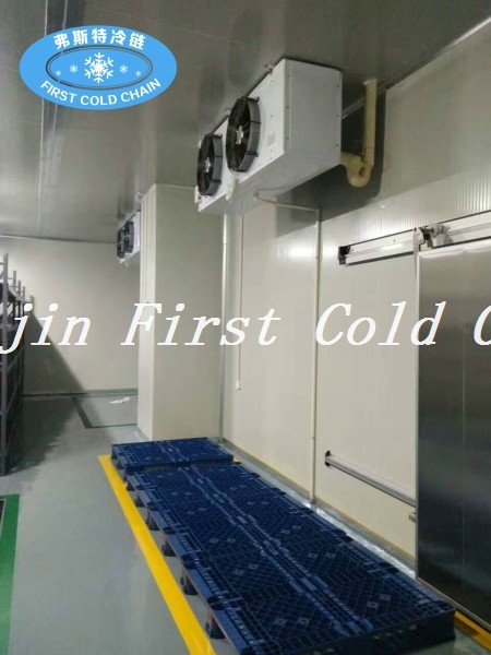 China Venta caliente Industrial Refrigeraor / cámara frigorífica para alimentos de carne congelada y mantener fresco
