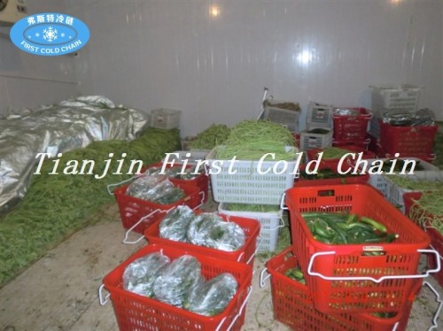 Suministro de China pequeña cámara fría combinada con Usado para almacenamiento de frutas / verduras