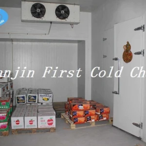 High Quality PU Panel Complex Cold Room for Meat, Fruit and Vegetable
