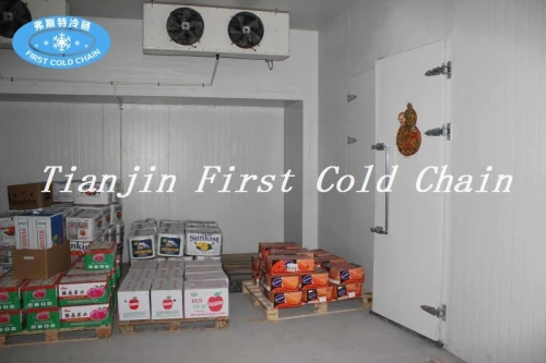 High Quality PU Panel Complex Cold Room for Meat, Fruit and Vegetable