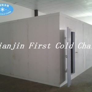 High Cost-Effective China Cold Room /Freezer room for Fish or Meat