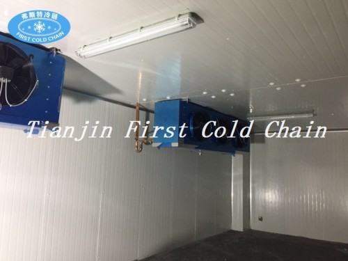 Cámara frigorífica de alta rentabilidad en China para pescado o carne