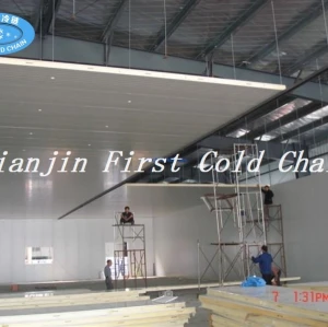 China supply cost effective quality Cold Storage / Cold Room for fish or meat food