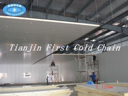 Sala de almacenamiento en frío de alta calidad para mariscos de China