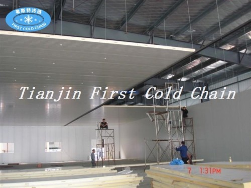 China supply cost effective quality Cold Storage / Cold Room for fish or meat food