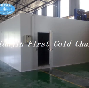 Personalización de China Almacenamiento en frío / Habitación para vegetales y frutas