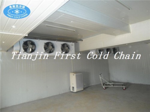 China supply cost effective quality Cold Storage / Cold Room for fish or meat food