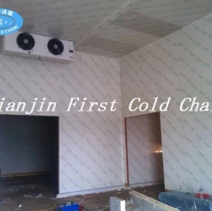 Sala de almacenamiento en frío de alta calidad para mariscos de China
