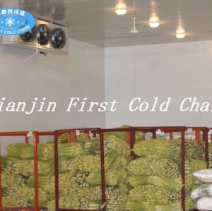 Китайская высокоэффективная холодная комната для замороженного мяса или рыбы